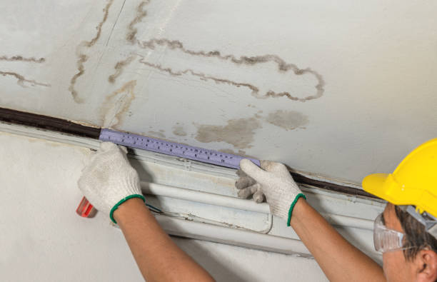 Reliable Sewage Cleanup contractor in Amherstdale, WV by Water Damage Irwin